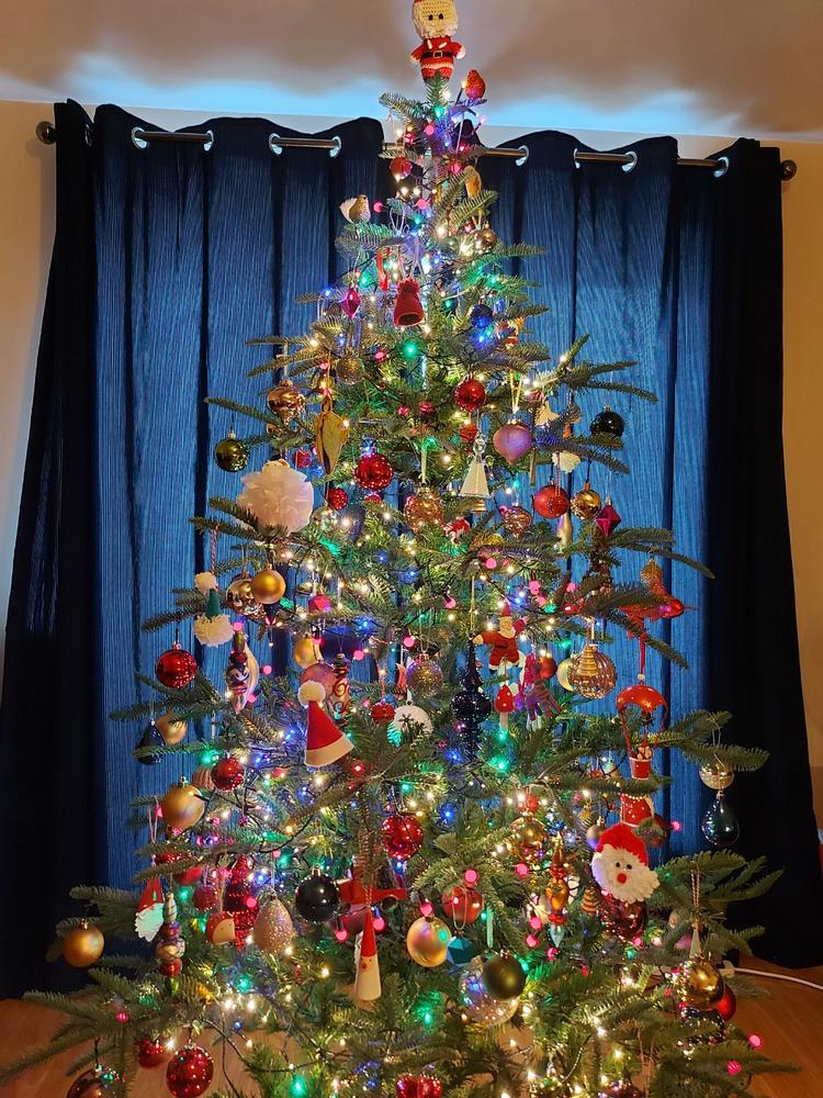 Everlands Nobilis Fir Christmas Tree - 210cm / 7ft - Customer Photo From Ms Oonagh Murphy