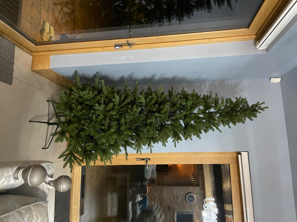Everlands Killington Fir Christmas Tree 240cm / 8ft - Customer Photo From Jane exon