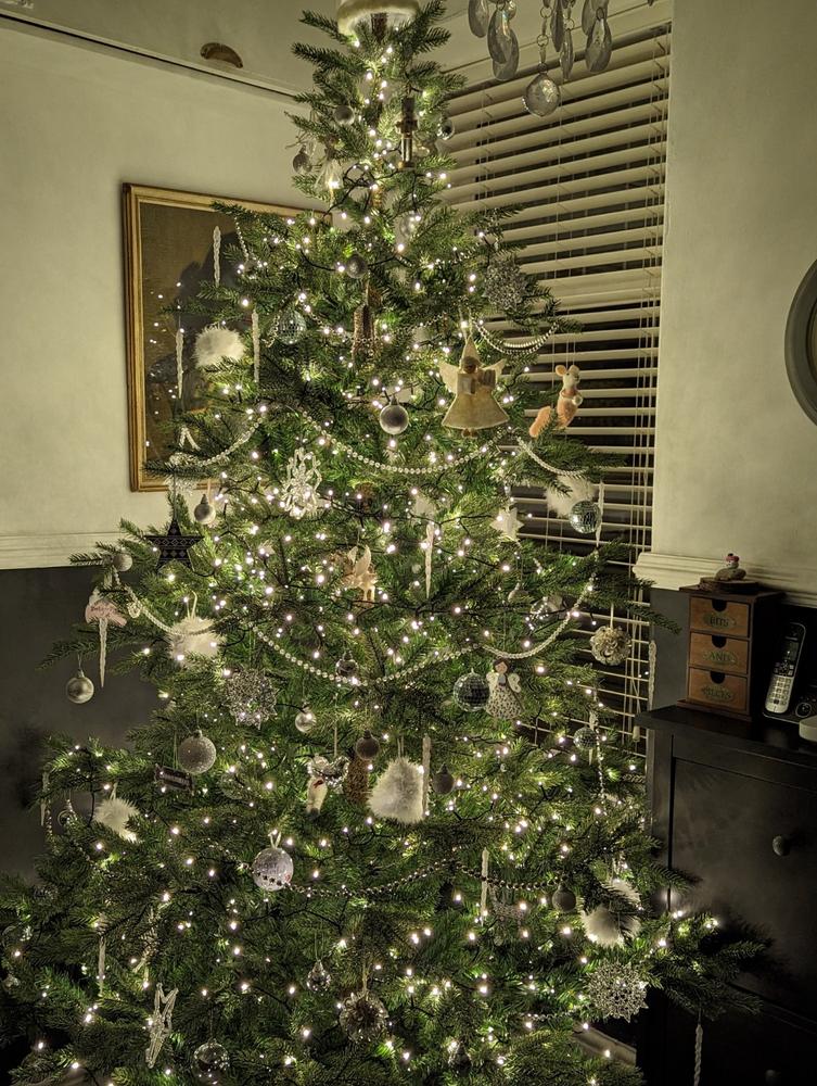 Grandis Fir Christmas Tree 240cm / 8ft | Kaemingk Everlands - Customer Photo From Jamie Hawkins