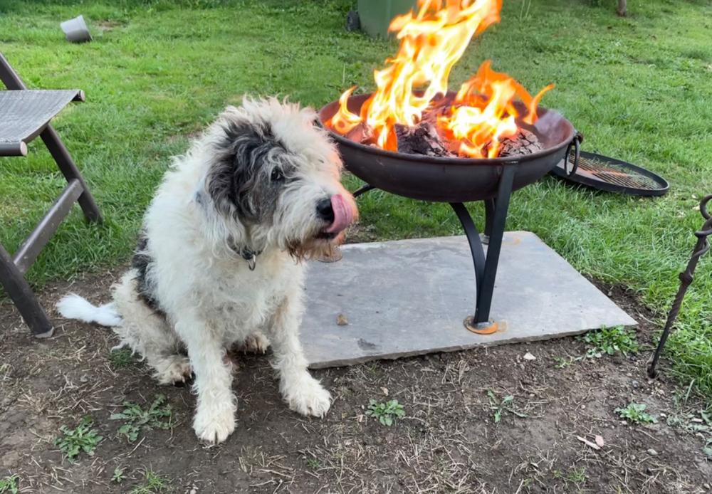 Plain Jane Garden Fire Pit with Swing Arm BBQ - various sizes from 60cm - 90cm diameter - Customer Photo From James massey