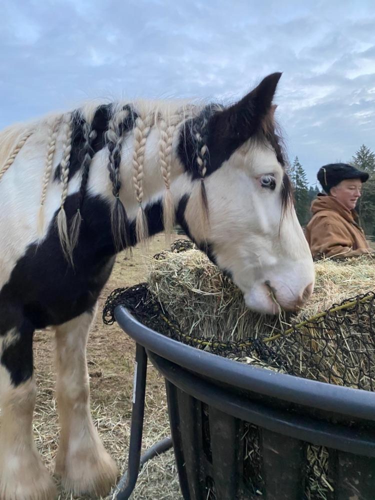 Hay Net for Tarter Equine Hay Basket - Customer Photo From Deann Fettig