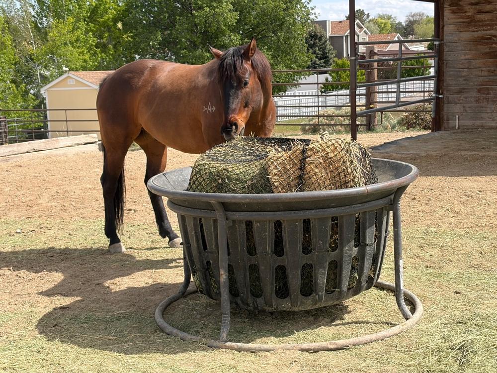 Hay Net for Tarter Equine Hay Basket (Basket Sold Separately) - Customer Photo From Jodie Stafford