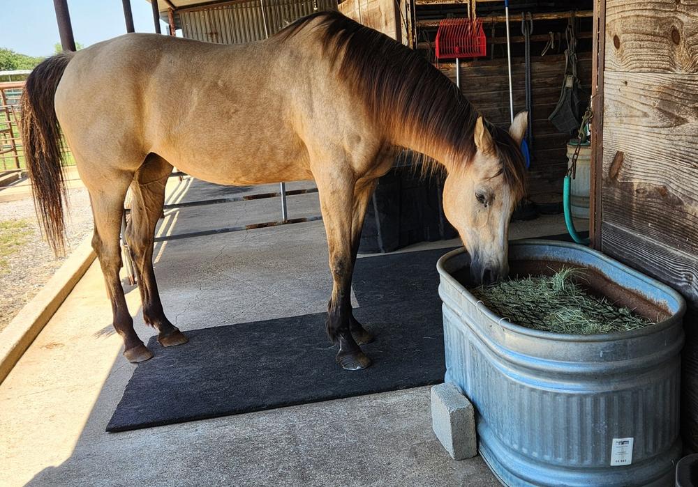 Square Bale Hay Net - Customer Photo From Karen Adams