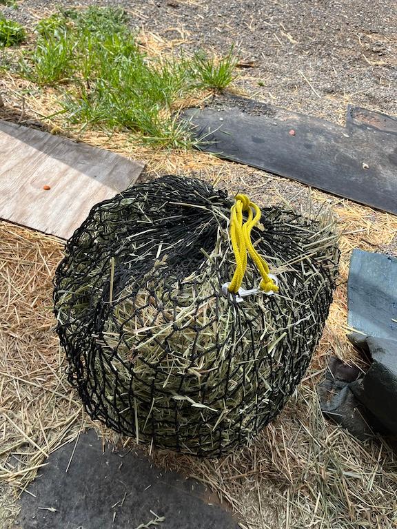 Small Hay Net - Customer Photo From Barbara