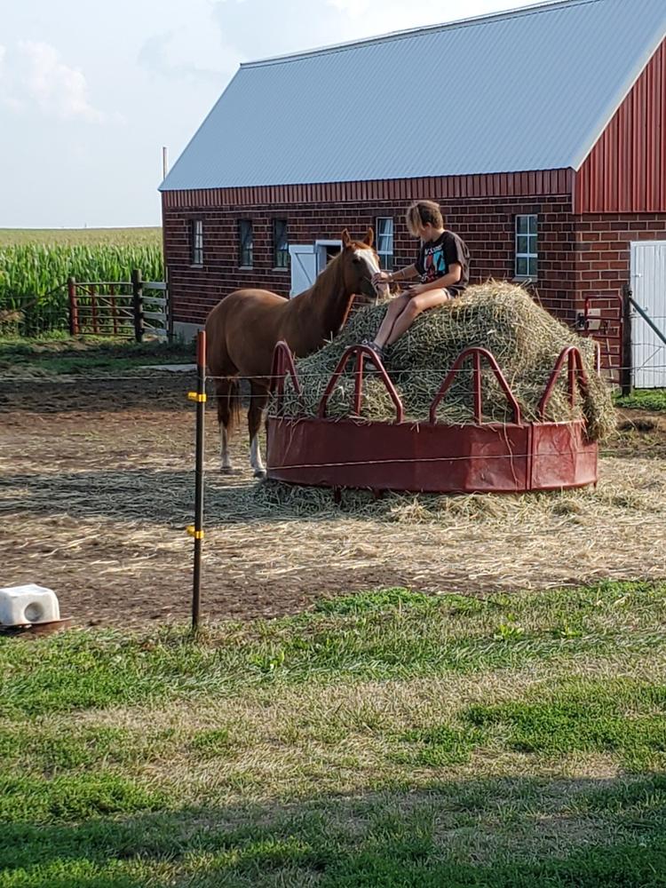 Heavy Gauge Round Bale Hay Net - Customer Photo From Ruth Peterson