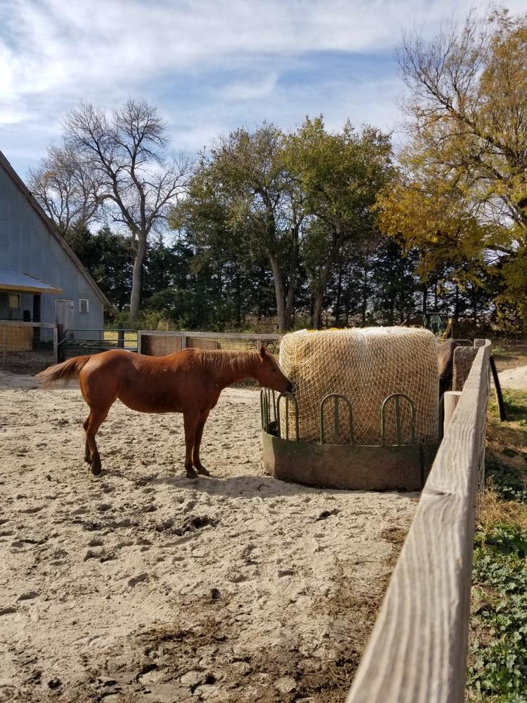 Heavy Gauge Round Bale Hay Net - Customer Photo From Jill Fingerhut