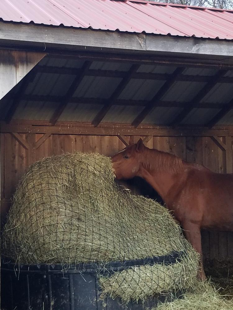 Livestock Round Bale Hay Net - Customer Photo From Stacey Cain