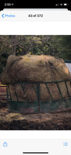 Livestock Round Bale Hay Net - Customer Photo From Holly Vinton