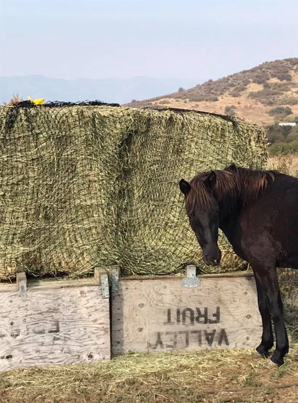 Large Square Bale Hay Net / Hay Feeder Texas