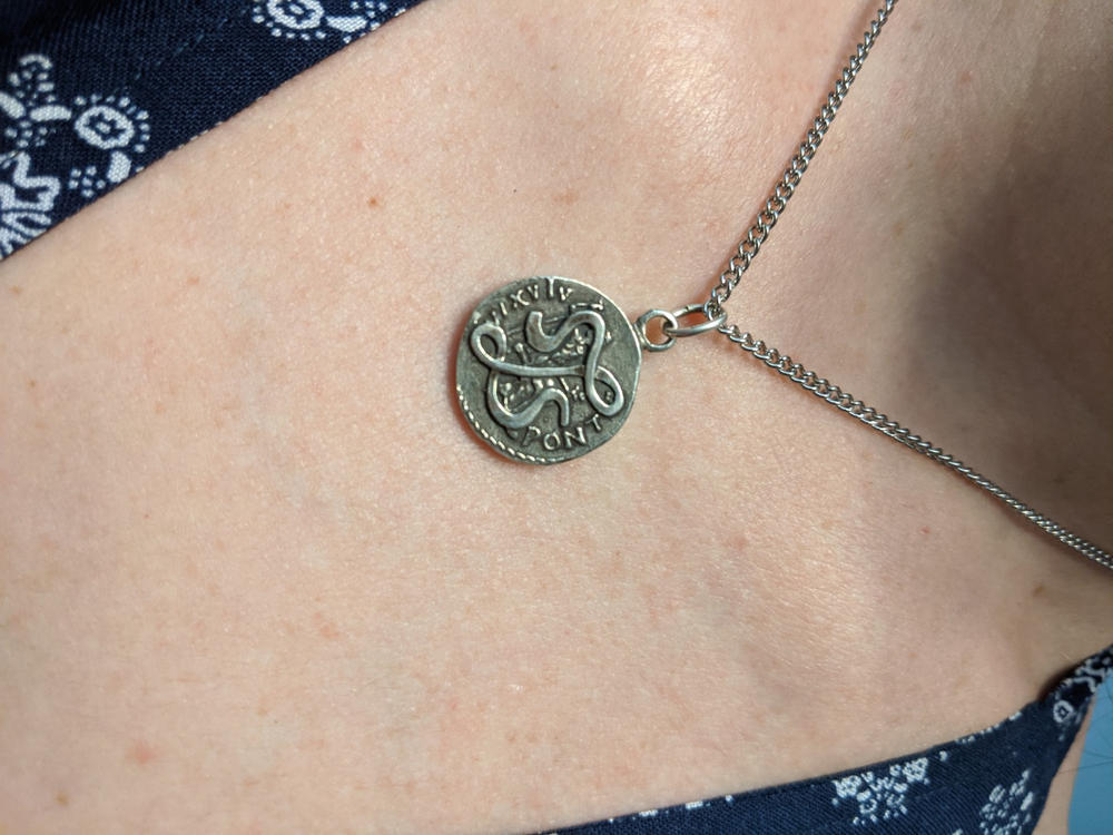 Lascielova pocrnjela Denarius ogrlica - fotografija kupca od Erin Liebman