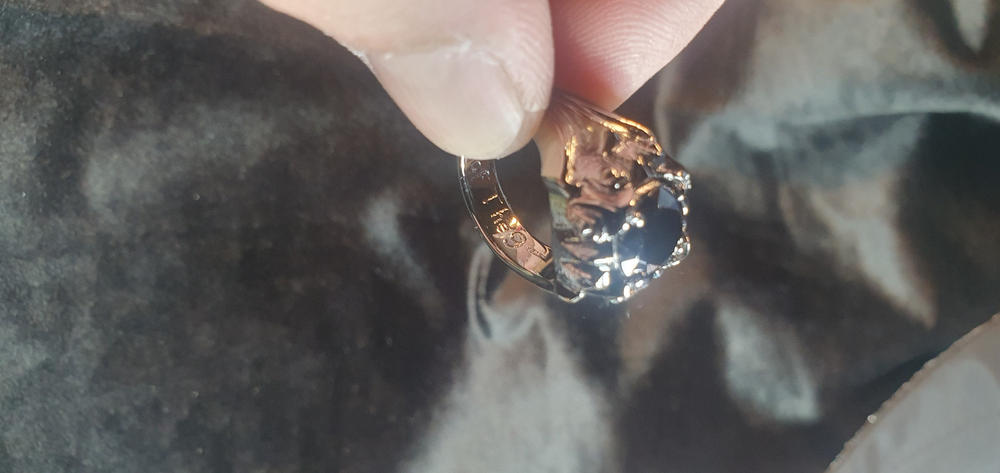 Ring of the Nazgul™ - Customer Photo From Jonathan P.