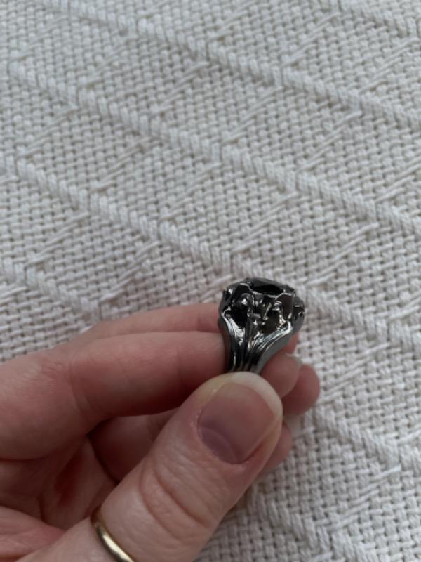 Ring of the Nazgul™ - Customer Photo From Shannon R.