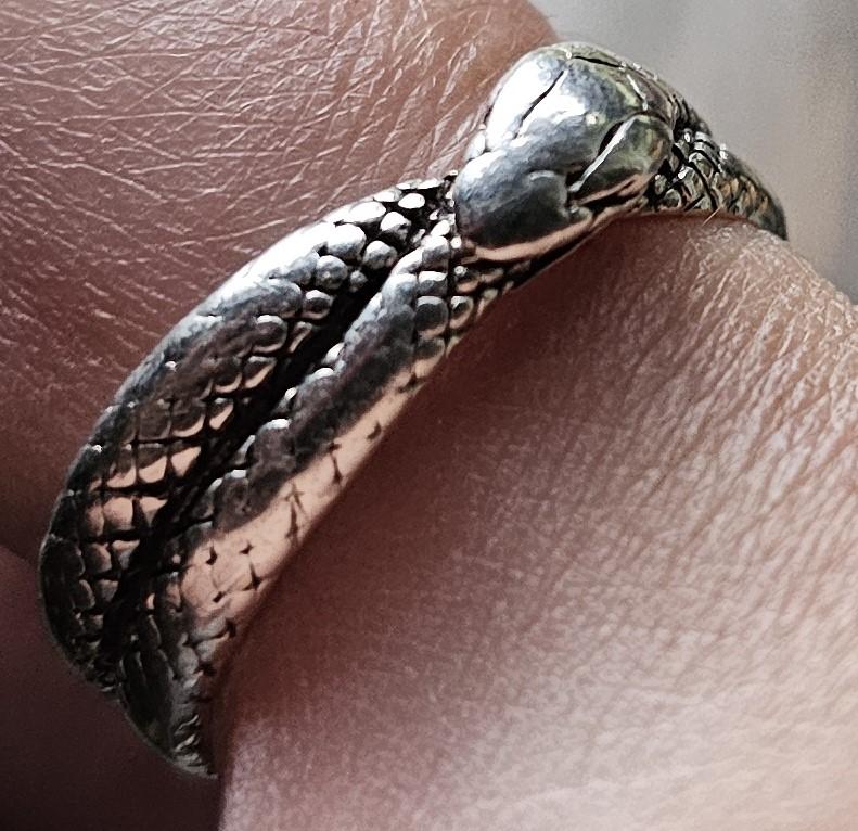 Legacy Aes Sedai Great Serpent Ring™ - Customer Photo From Kim