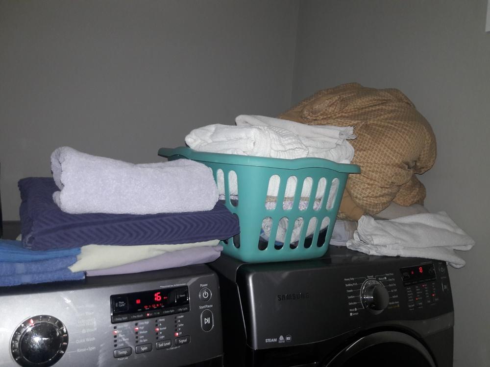 Laundry & Household Oxi Booster Pods, Unscented - Customer Photo From Kristen Clark