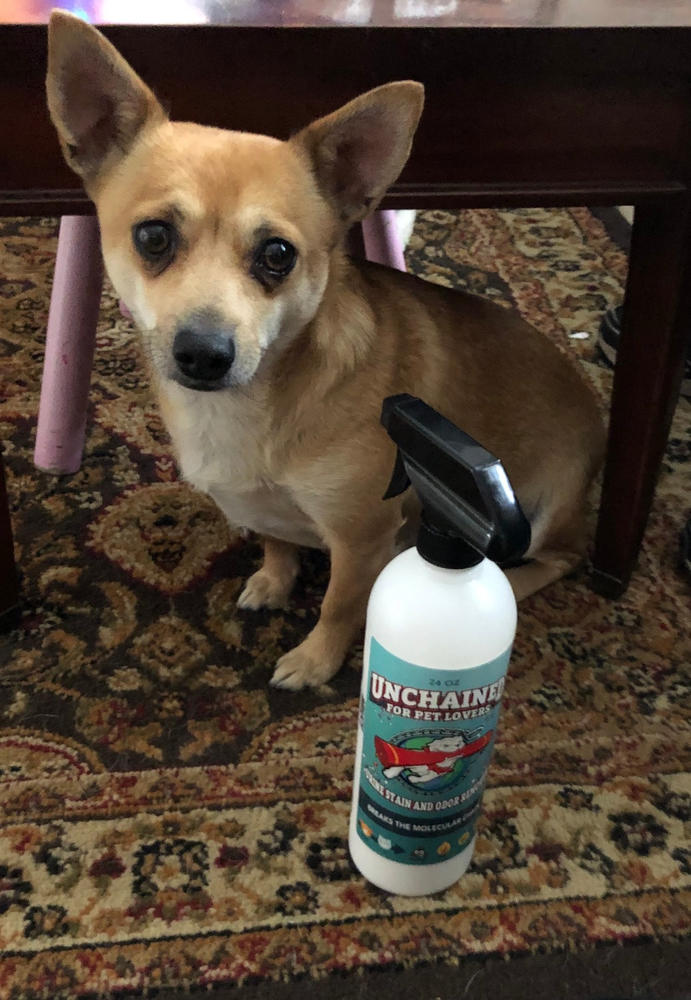 UNCHAINED Urine Stain Odor Eliminator for Pet Owners - Customer Photo From Ashlei