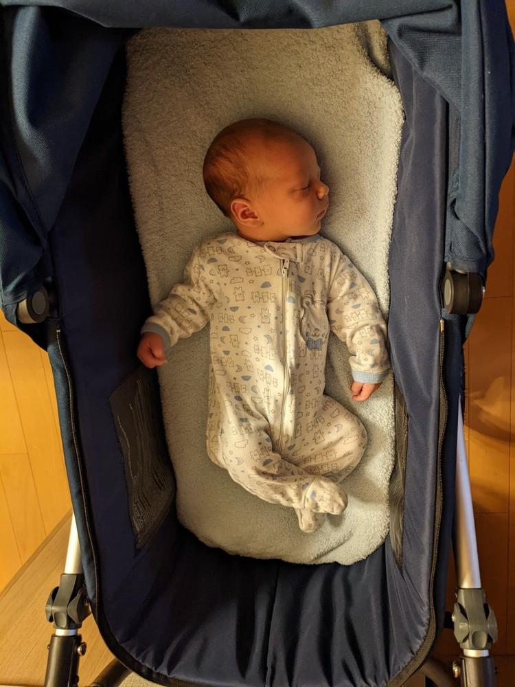 Era / Indie / Speed Bassinet - Past Collection - Customer Photo From Catriona Dunphy