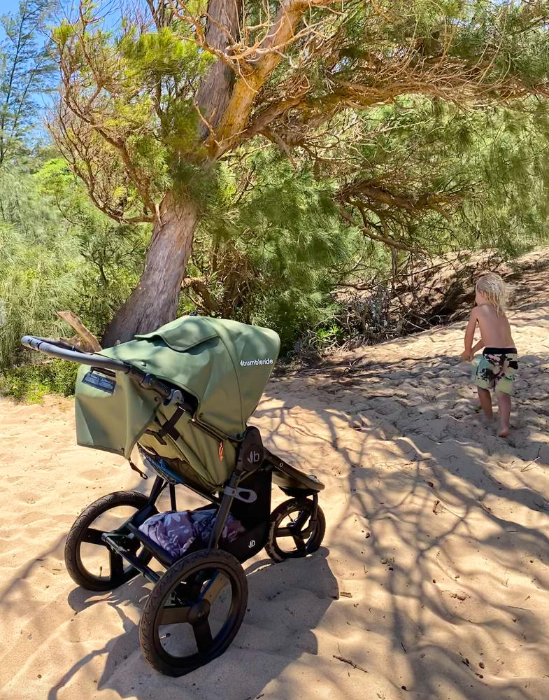 Speed - Jogging Stroller - Customer Photo From January