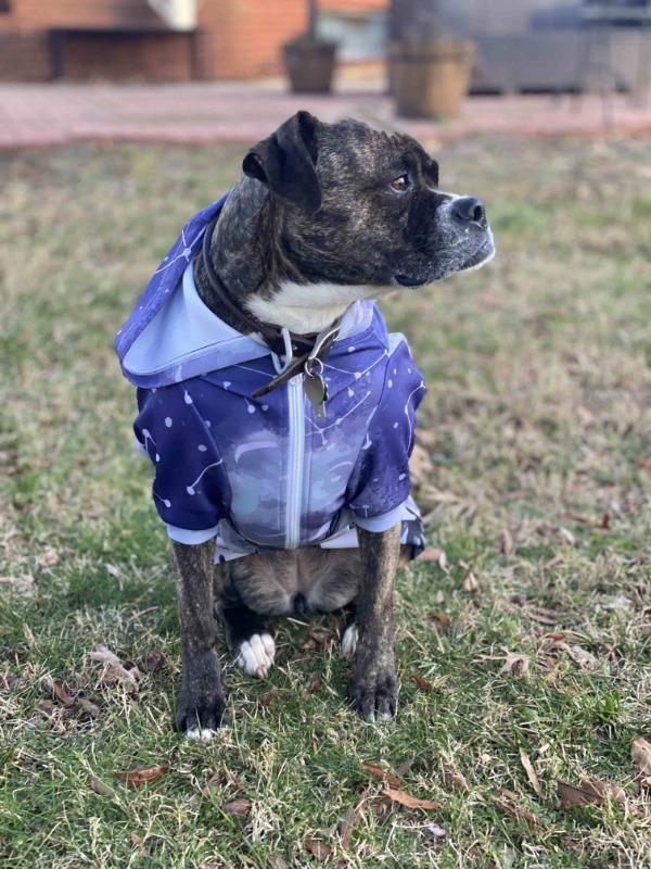 Athletic Dog Zip-Up Hoodie - AOP - Customer Photo From Melissa