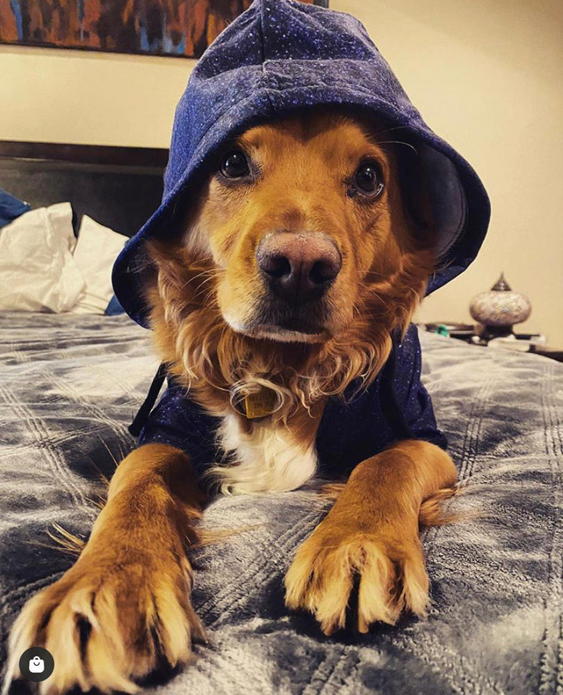 Athletic Dog Zip-Up Hoodie - Customer Photo From Nilu