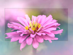 Lensbaby OMNI Crystal Expansion Pack Review