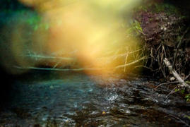 Lensbaby OMNI Small or Large Ring Review