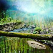 Lensbaby OMNI Small or Large Ring Review