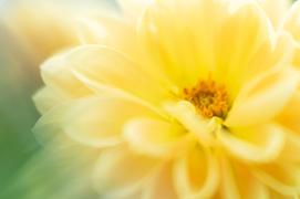 Lensbaby OMNI System Bundle Review