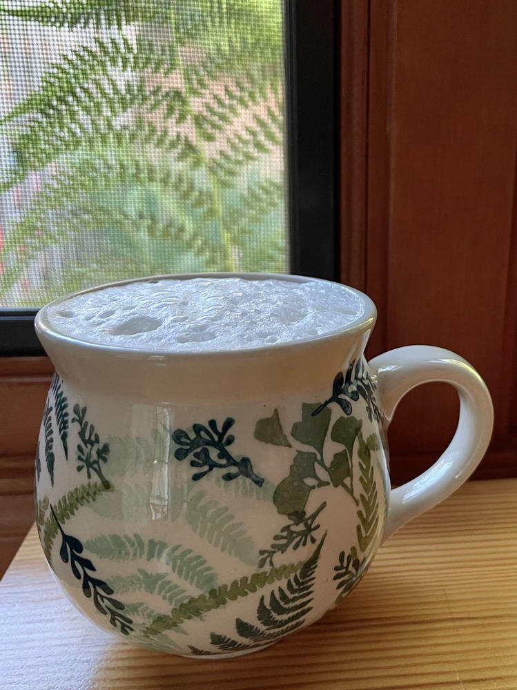 Medium Belly Mug (Scattered Ferns) | K090S-GZ39 - Customer Photo From Anonymous