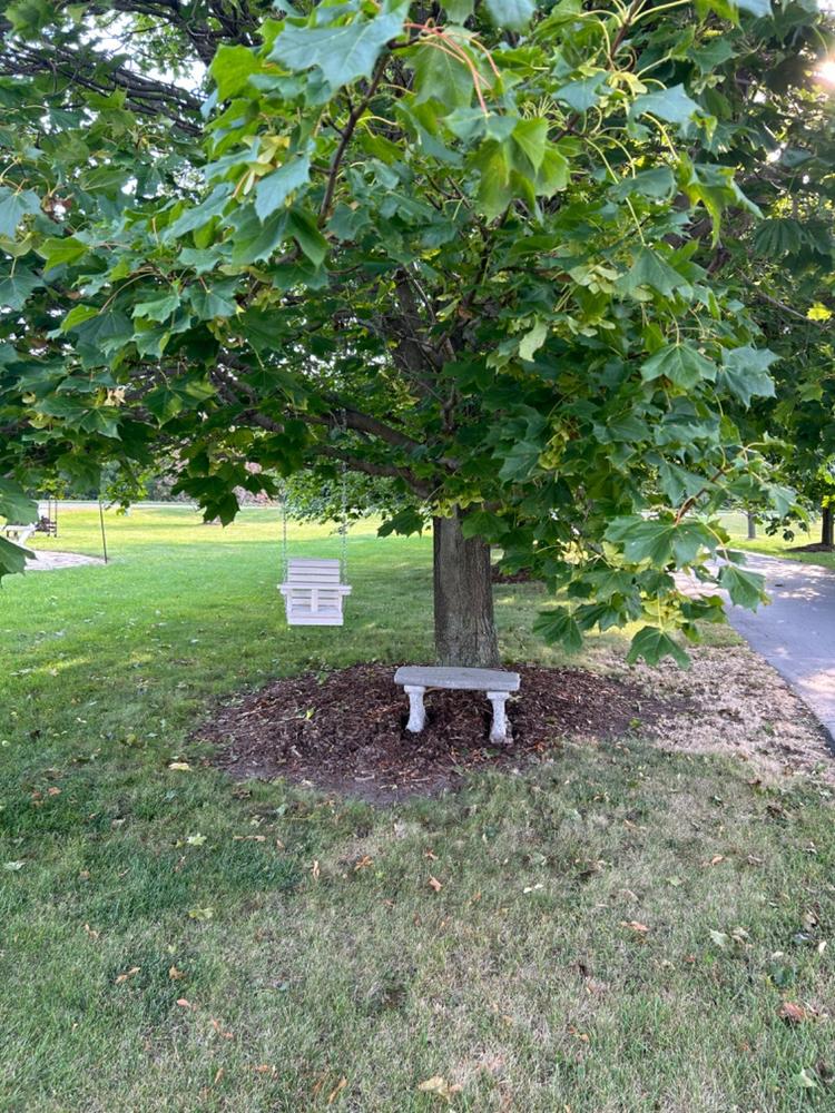 LA Swings Baby Swing - Customer Photo From Mindie Overbeck