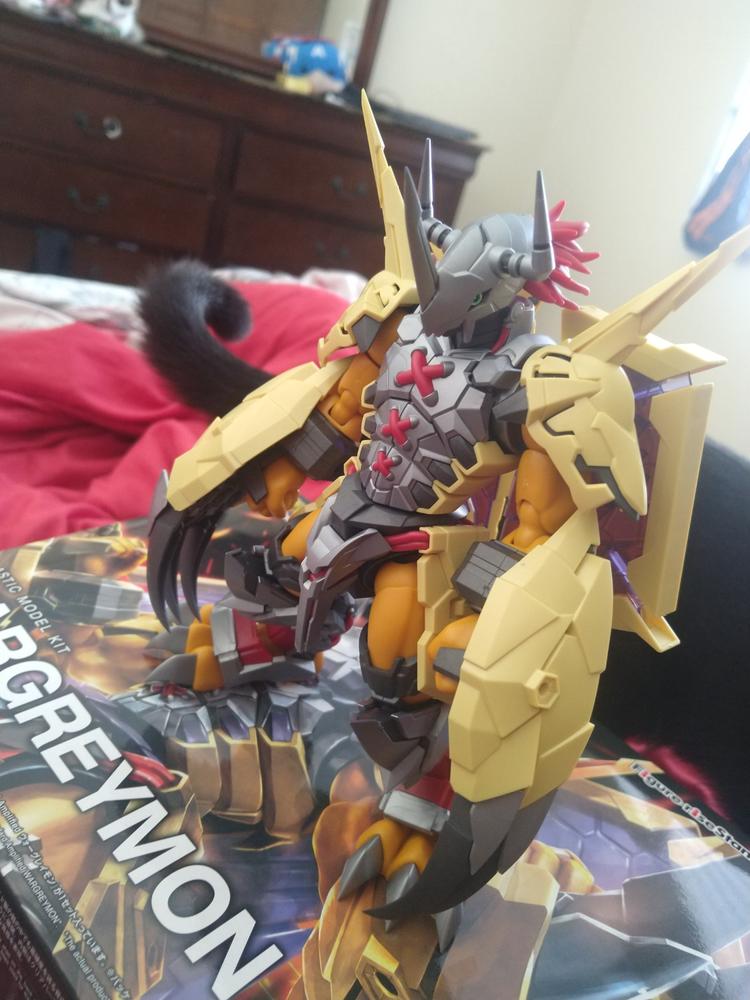 Bandai BAS5057815 Wargreymon Spirits Figure-Rise Standard Model Kit from  Digimon 