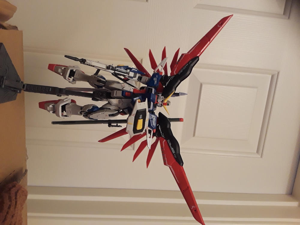 RG 1/144 #11 Destiny Gundam – USA Gundam Store