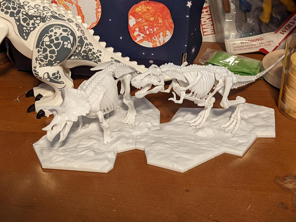 DINOSAUR MODEL KIT LIMEX SKELETON Tyrannosaurus - Customer Photo From Matt Fisher