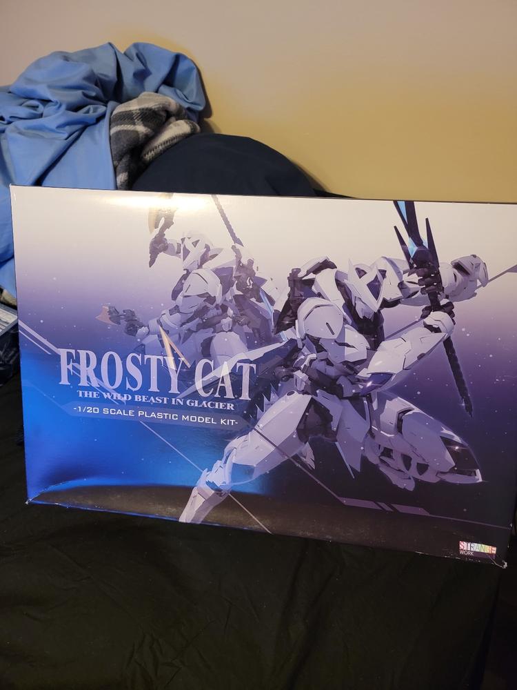 PG STRANGE WORK  FROSTY CAT 1/60 - Customer Photo From Luis Valenzuela