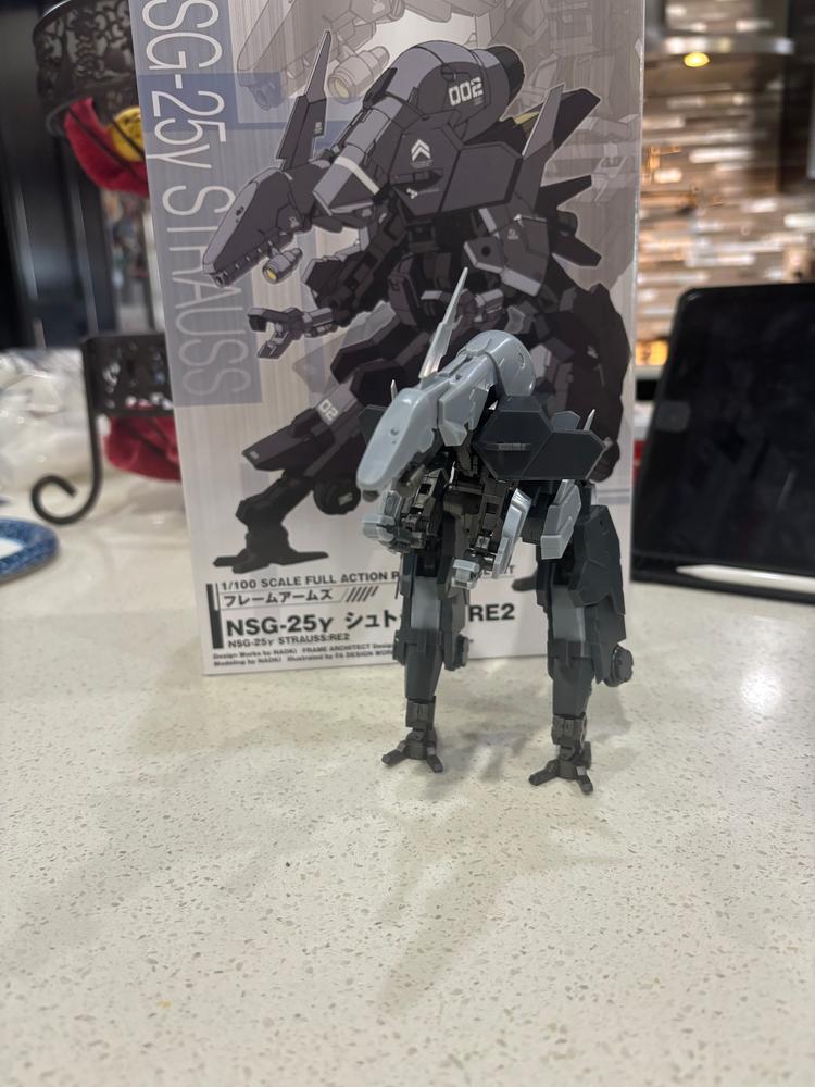 Frame Arms NSG-25γ STRAUSS RE2 Plastic Model Kit - Customer Photo From Devin