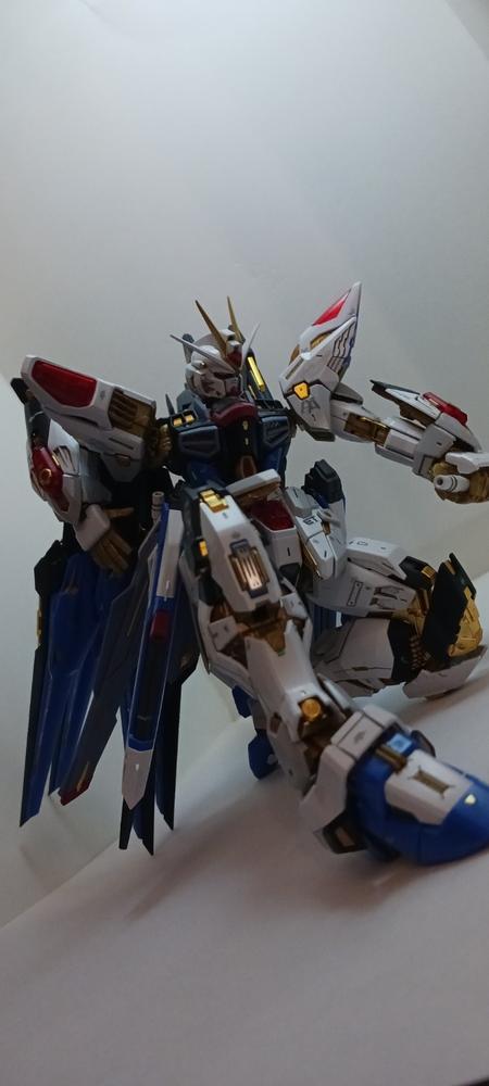 MGEX Strike Freedom Gundam 1/100