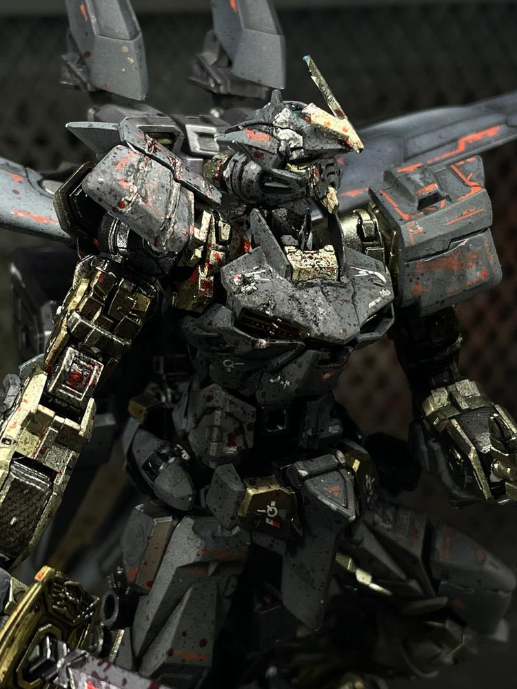 RG 1/144 #19 Gundam Astray Red Frame - Customer Photo From Daniel