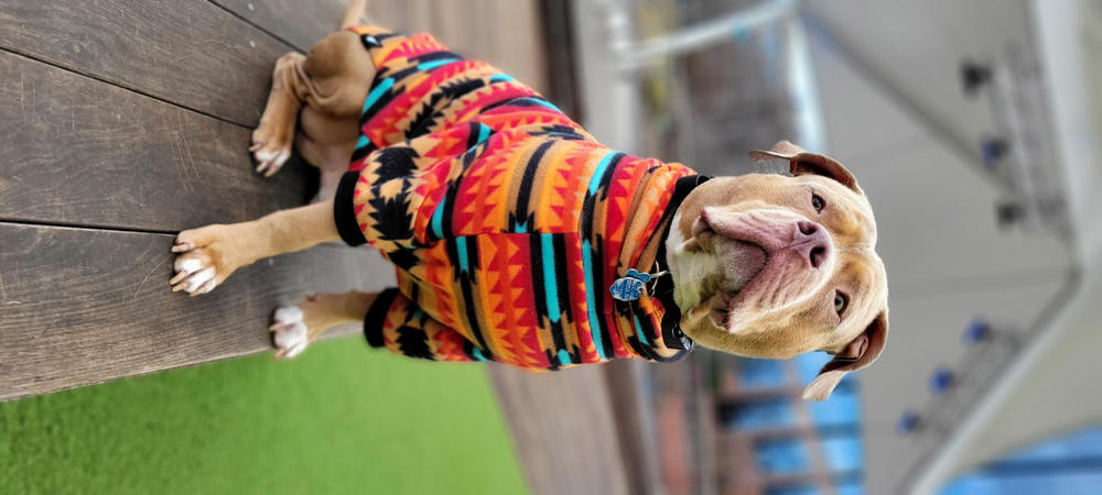 Mountain Pass Fleece Dog Sweater – Tooth & Honey