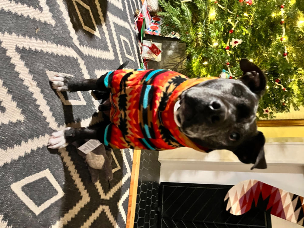 Mountain Pass Fleece Dog Sweater – Tooth & Honey