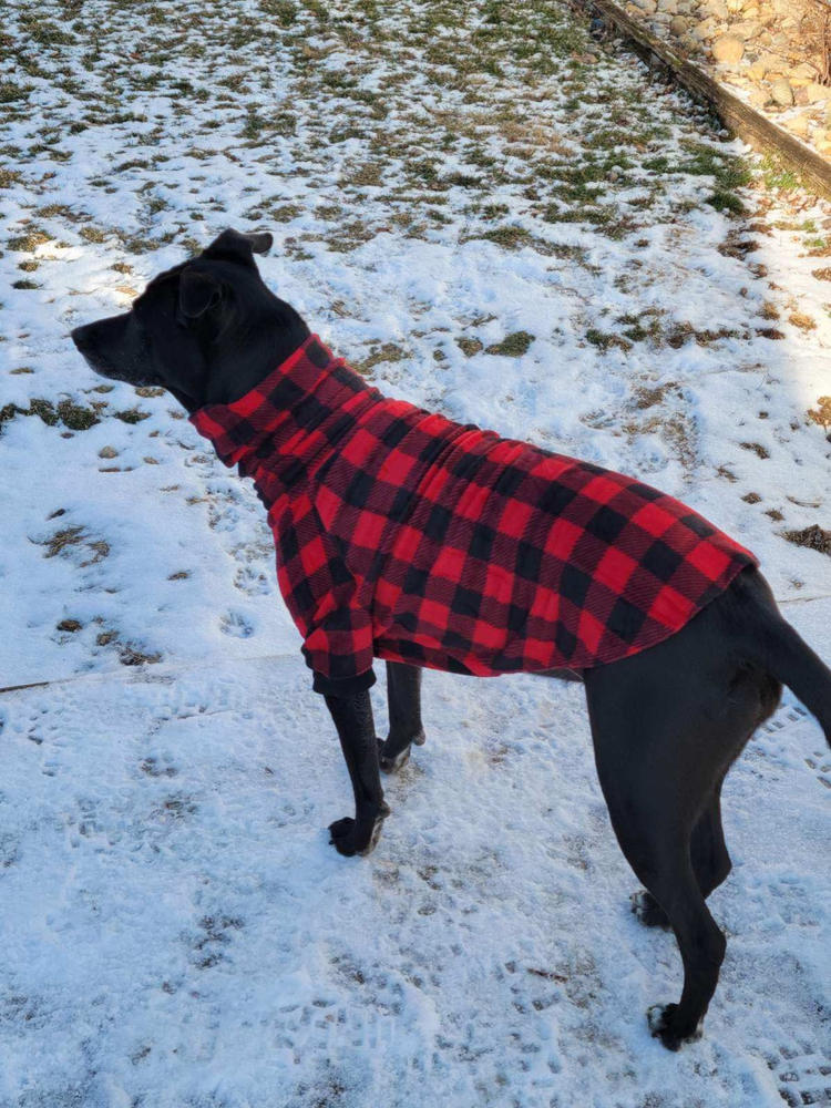 Chewy Pawtton Dog Sweater Black Vest Clothes