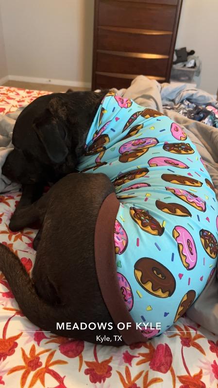 Dog Shirt  Cute Sweet and Woofsome Donut Dog Shirt – Ollypet