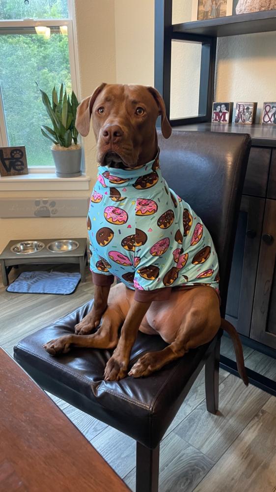 Dog Shirt  Cute Sweet and Woofsome Donut Dog Shirt – Ollypet