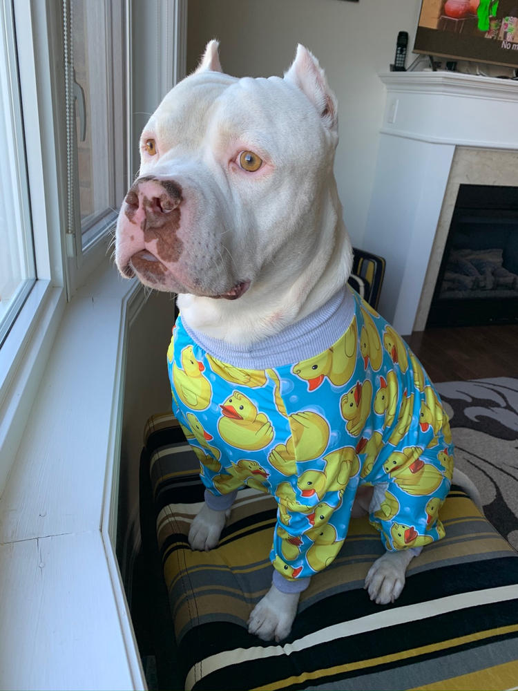 rubber ducky dog pajamas