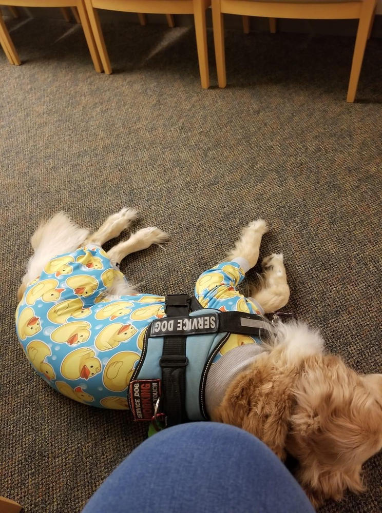 rubber ducky dog pajamas