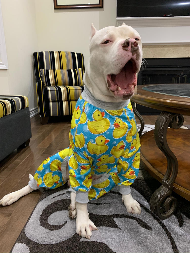 rubber ducky dog pajamas