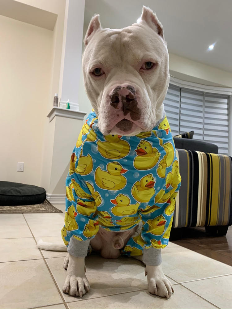 rubber ducky dog pajamas