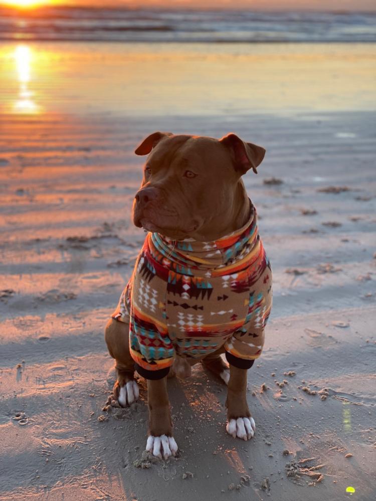 Mountain Pass Fleece Dog Sweater – Tooth & Honey