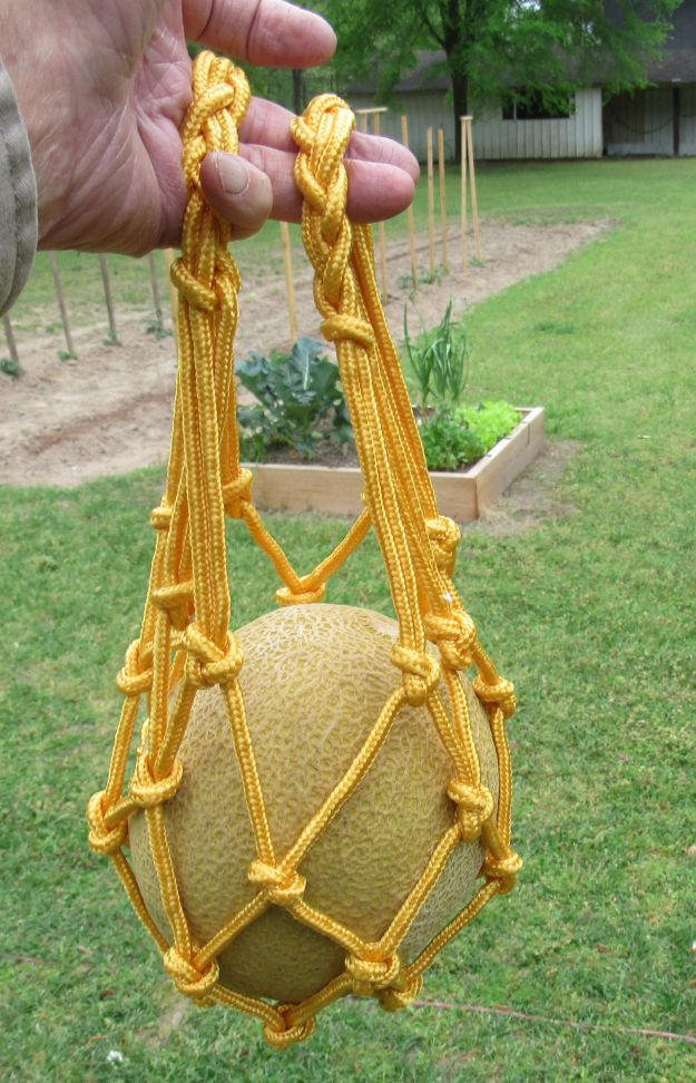 Melon Cradles - Customer Photo From Scottie Franklin