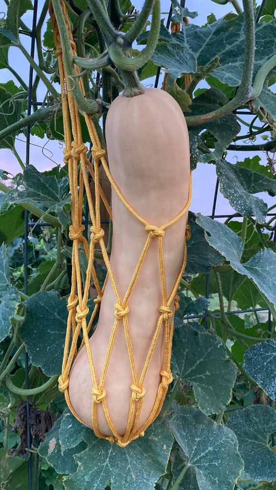 Melon Cradles - Customer Photo From Aracelis Marley