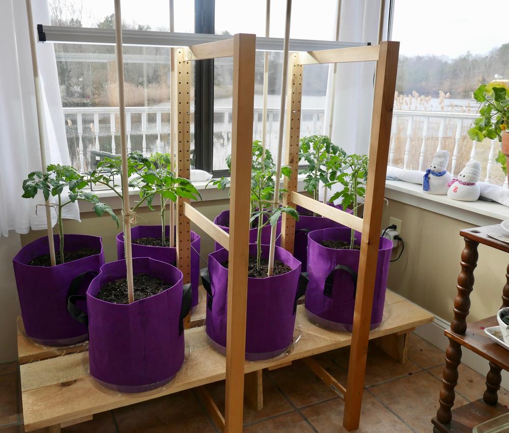 LED Strip Grow Lights - 48in - Customer Photo From Dave S