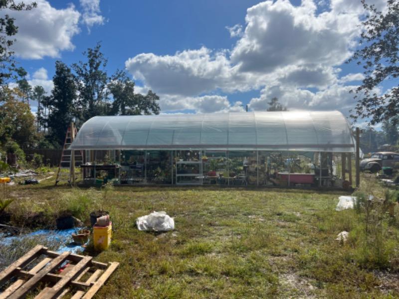 Greenhouse Plastic 6 Mil Clear - Customer Photo From DENITA MCCARTY